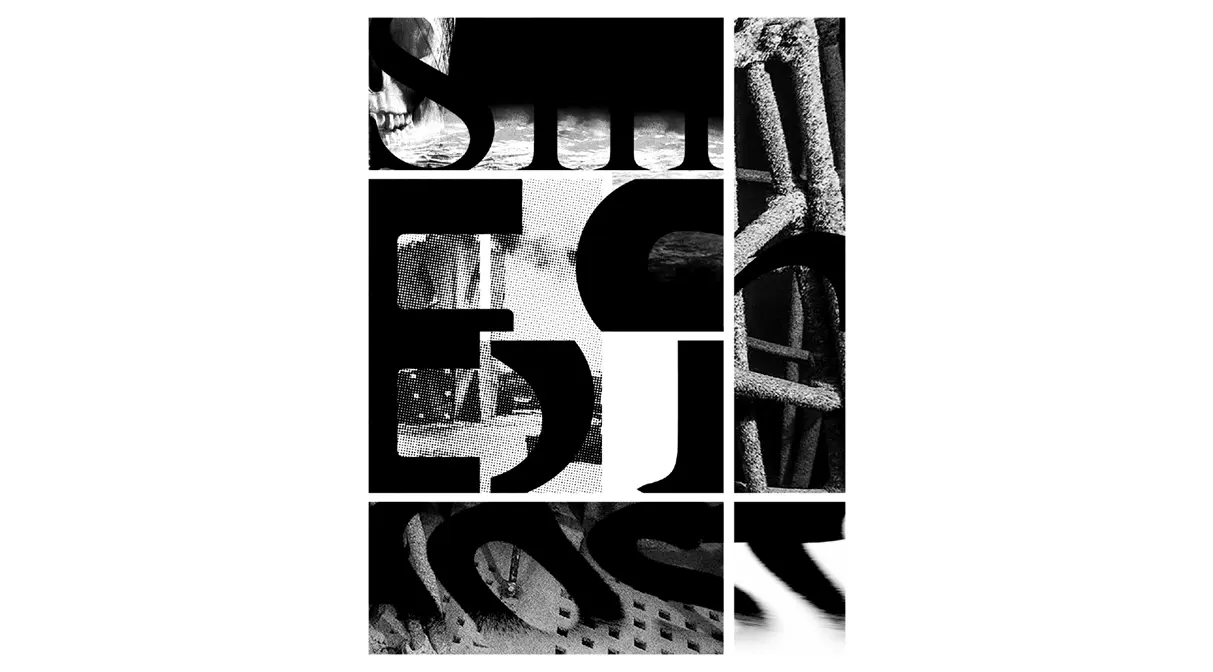 project image 1