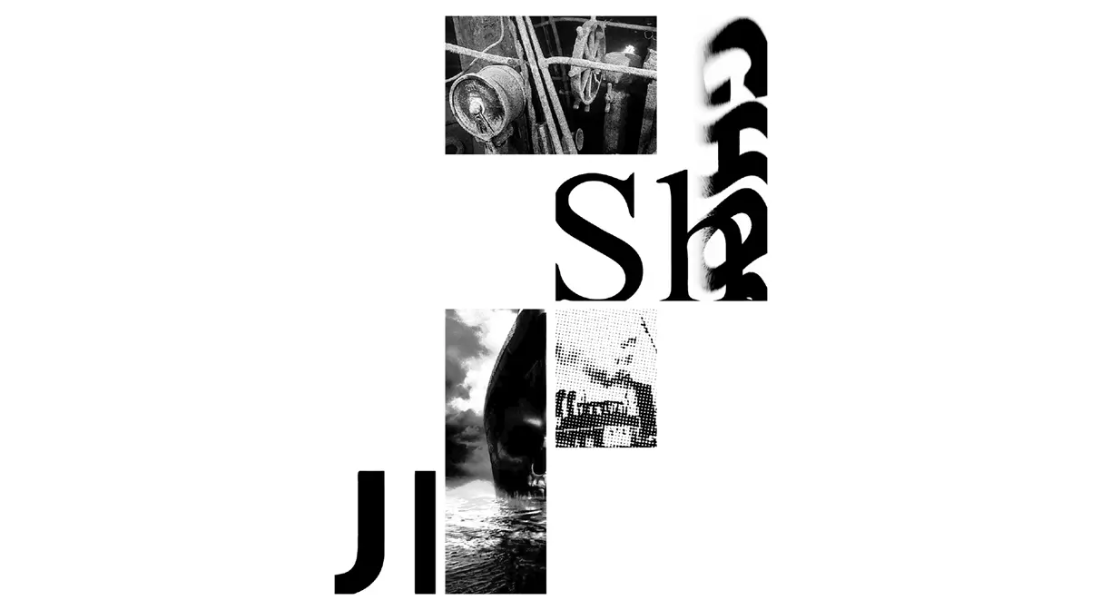 project image 2