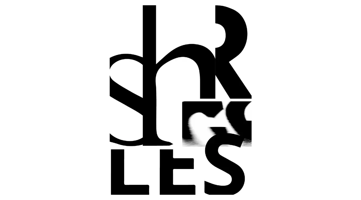 project image 3
