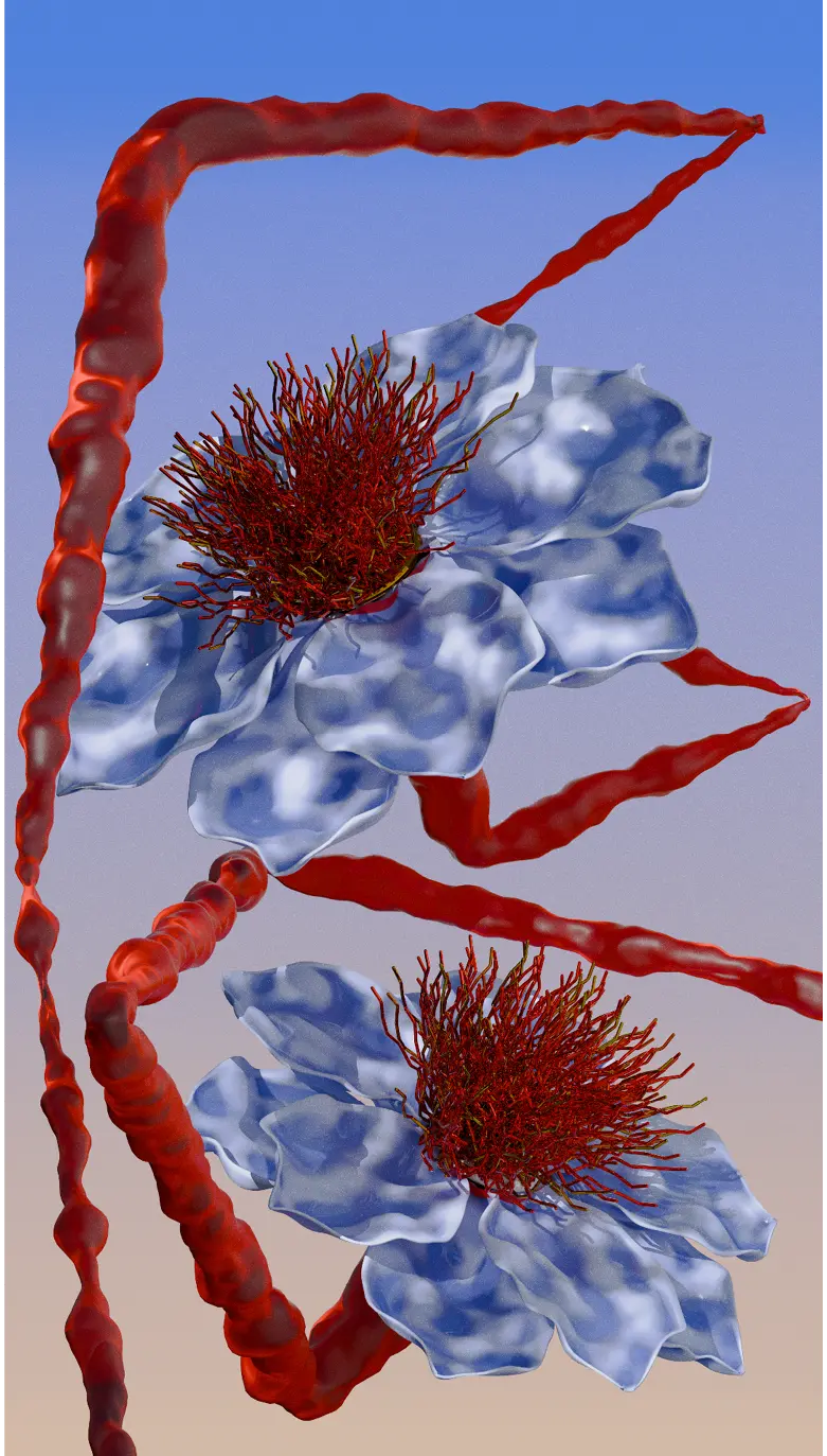 project image 1