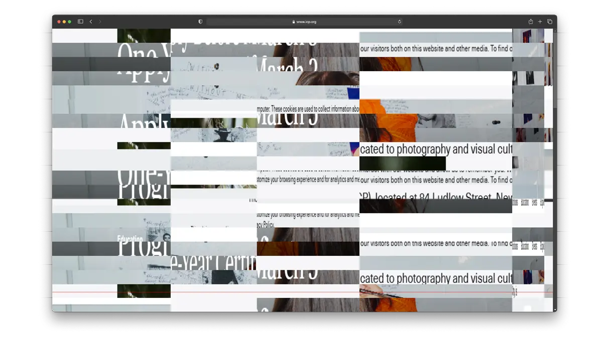 project image 4