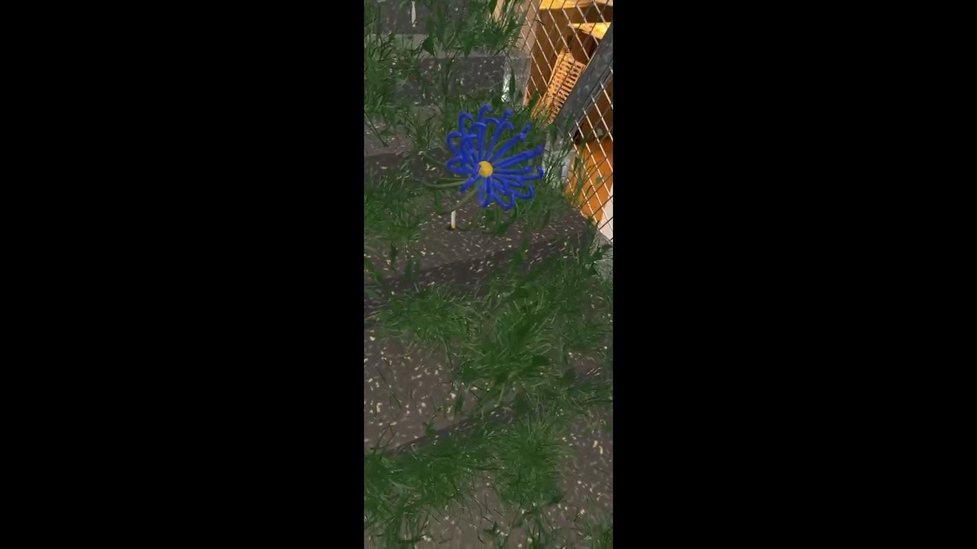 project image 3