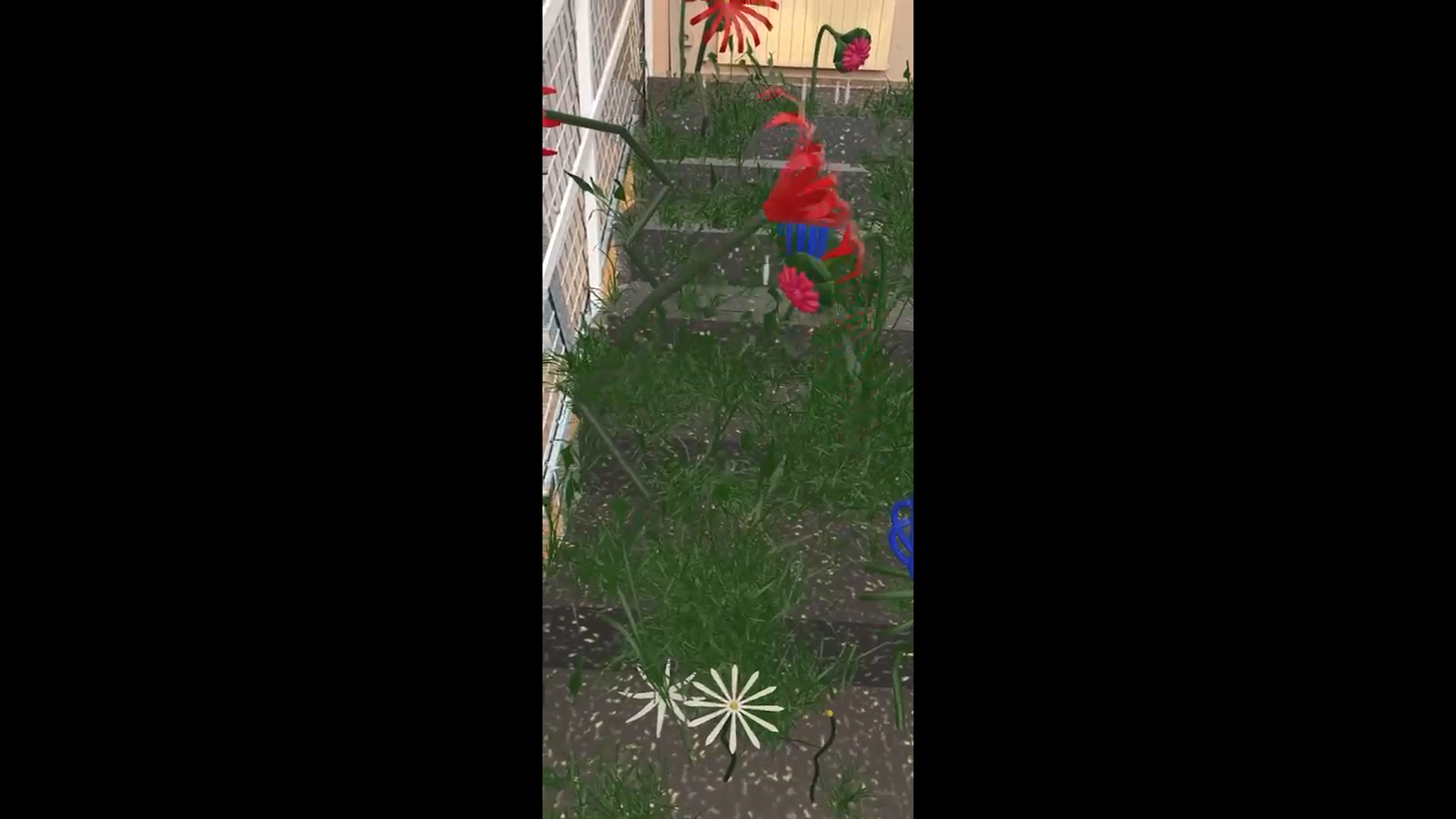 project image 4